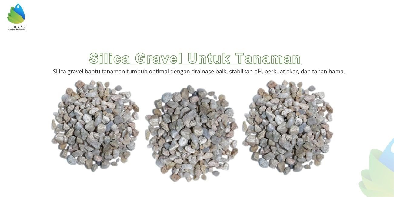 Silica Gravel Untuk Tanaman
